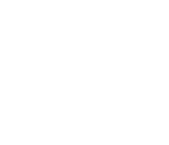 guide